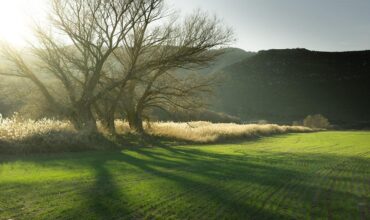 czyste powietrze program dopłat